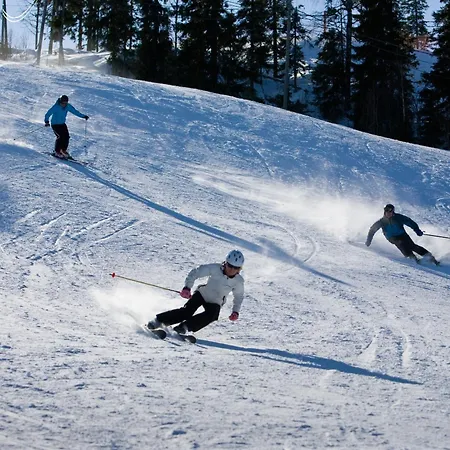 Apartment Vuokatin Vaelke A10 Vuokatti